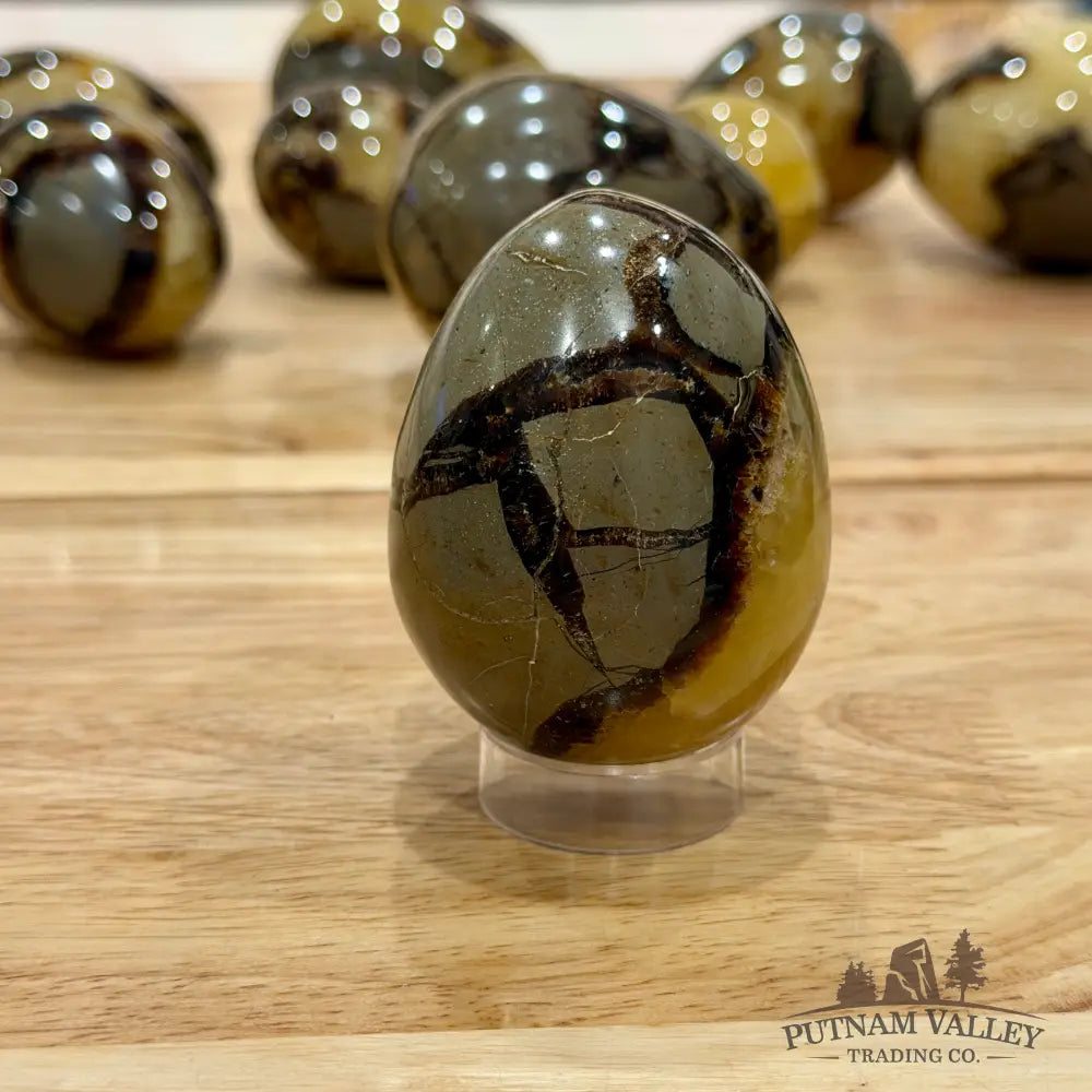 Madagascar Septarian Eggs | In Select Sizes Sphere