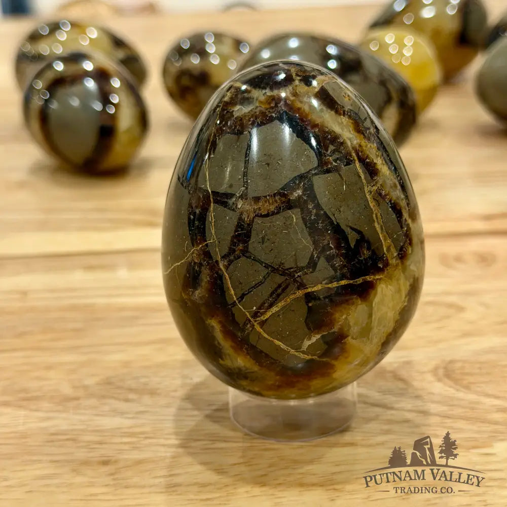 Madagascar Septarian Eggs | In Select Sizes Sphere