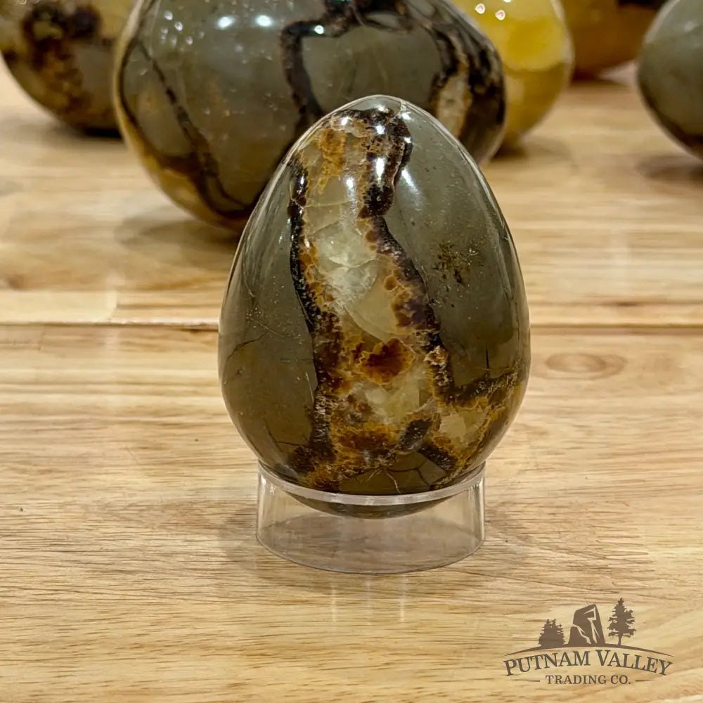 Madagascar Septarian Eggs | In Select Sizes Sphere