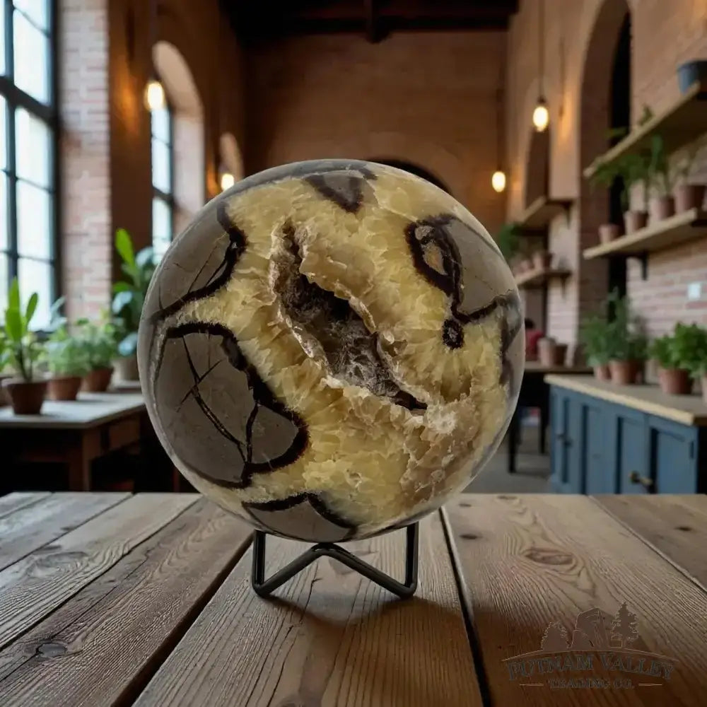 Septarian Sphere 4.7" - Putnam Valley Trading Co.