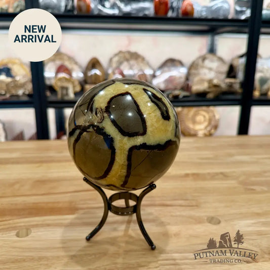 Madagascar Septarian Sphere 4.96’’ Sphere