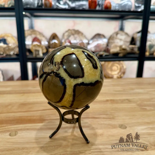 Madagascar Septarian Sphere 4.96’’ Sphere