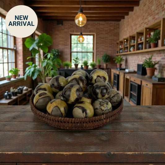 Madagascar Septarian Spheres 1.7’’ - 1.99’’ Sphere