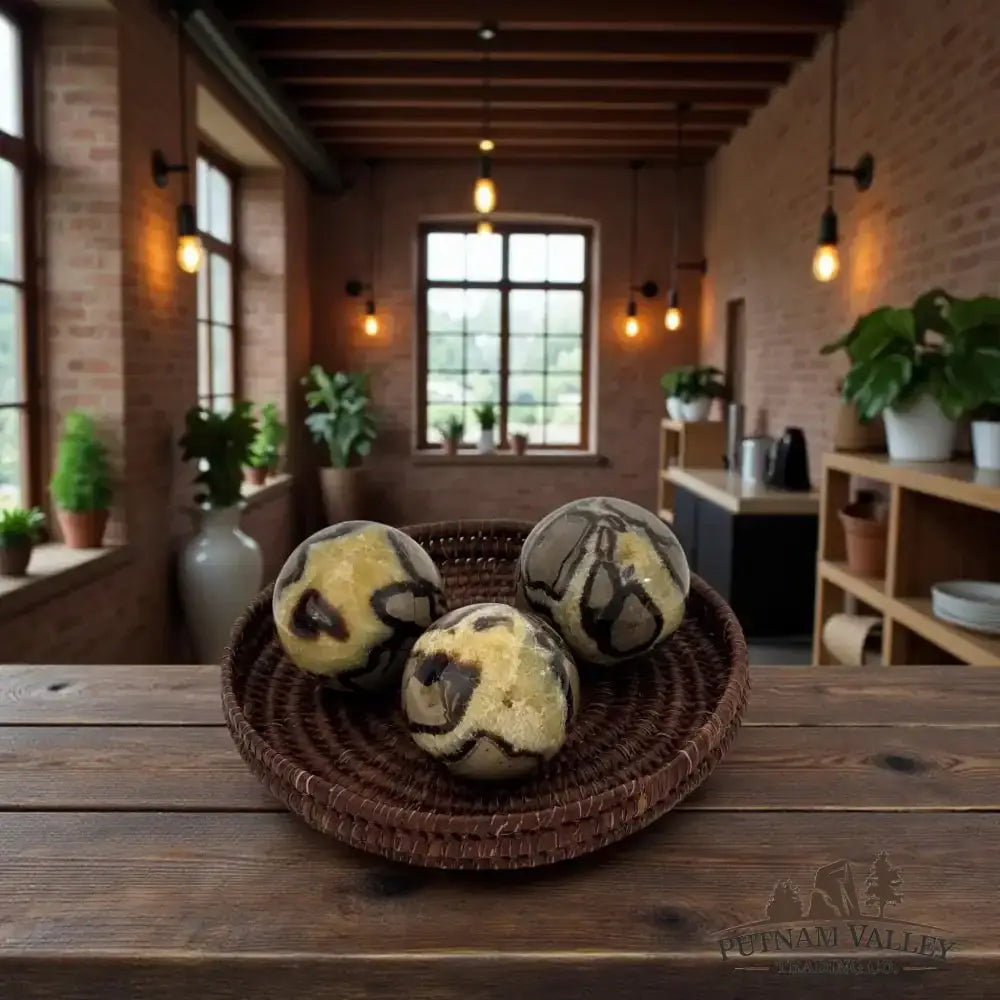 Septarian Spheres - Putnam Valley Trading Co.