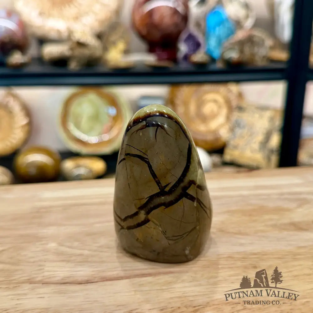 Madagascar Septarian Table Accent 3.23’’ - Accent