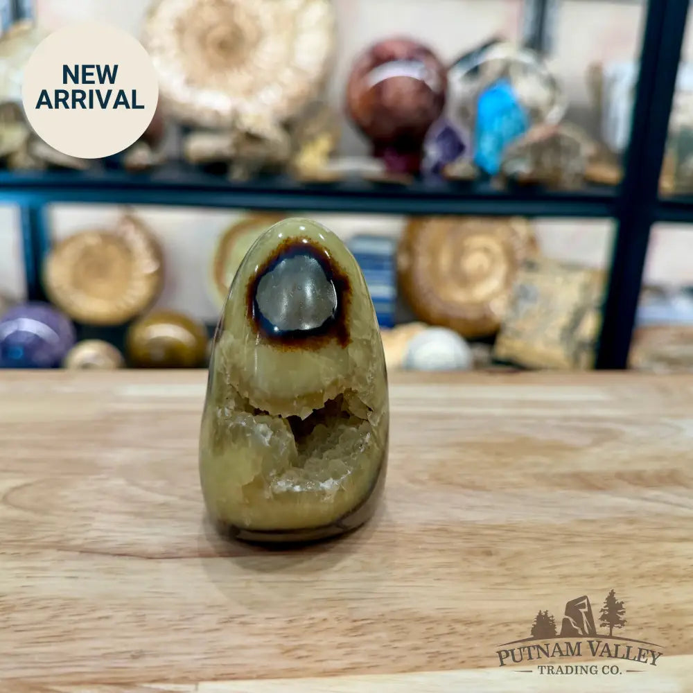 Madagascar Septarian Table Accent 3.23’’ - Accent