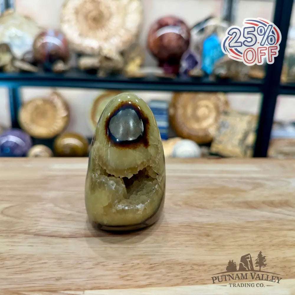 Madagascar Septarian Table Accent 3.23’’ - Accent