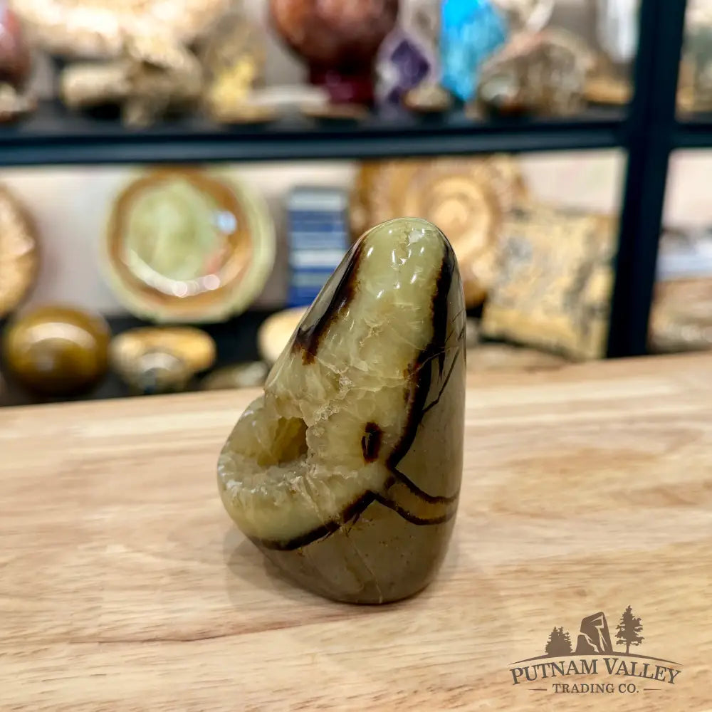 Madagascar Septarian Table Accent 3.23’’ - Accent