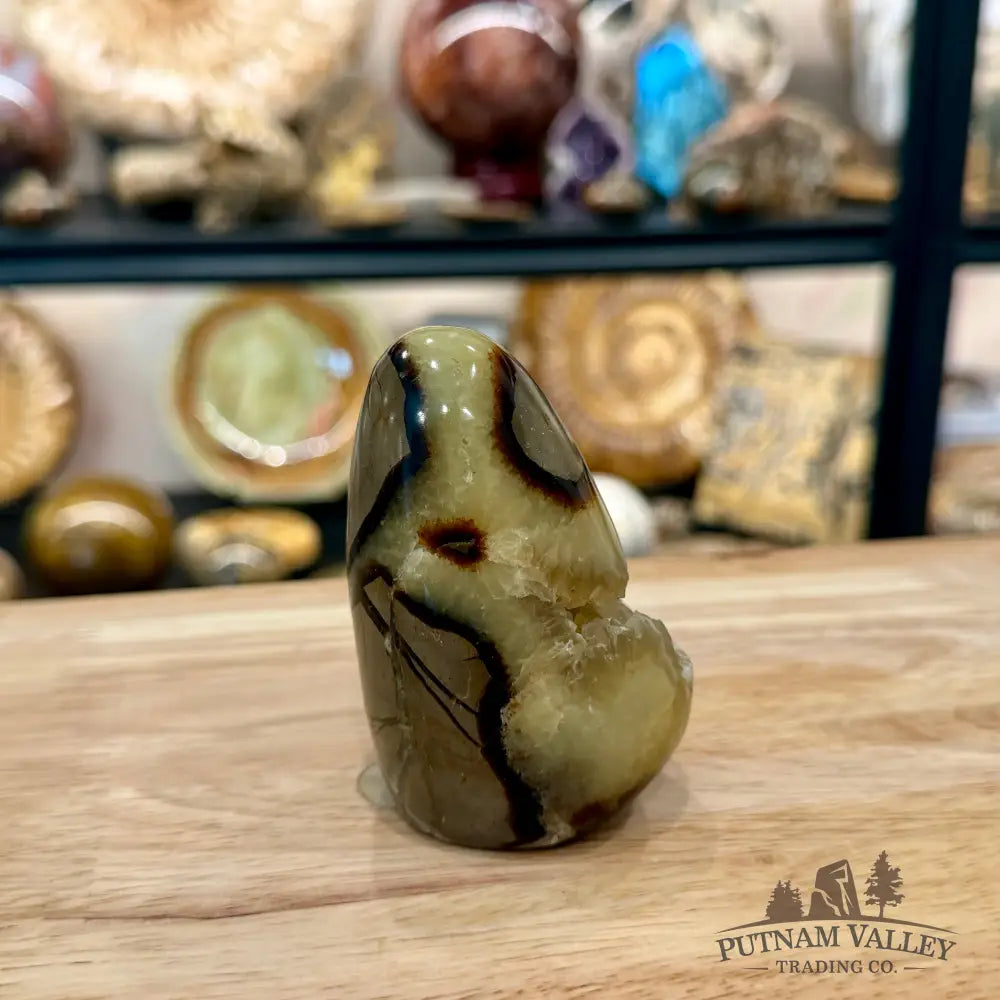 Madagascar Septarian Table Accent 3.23’’ - Accent