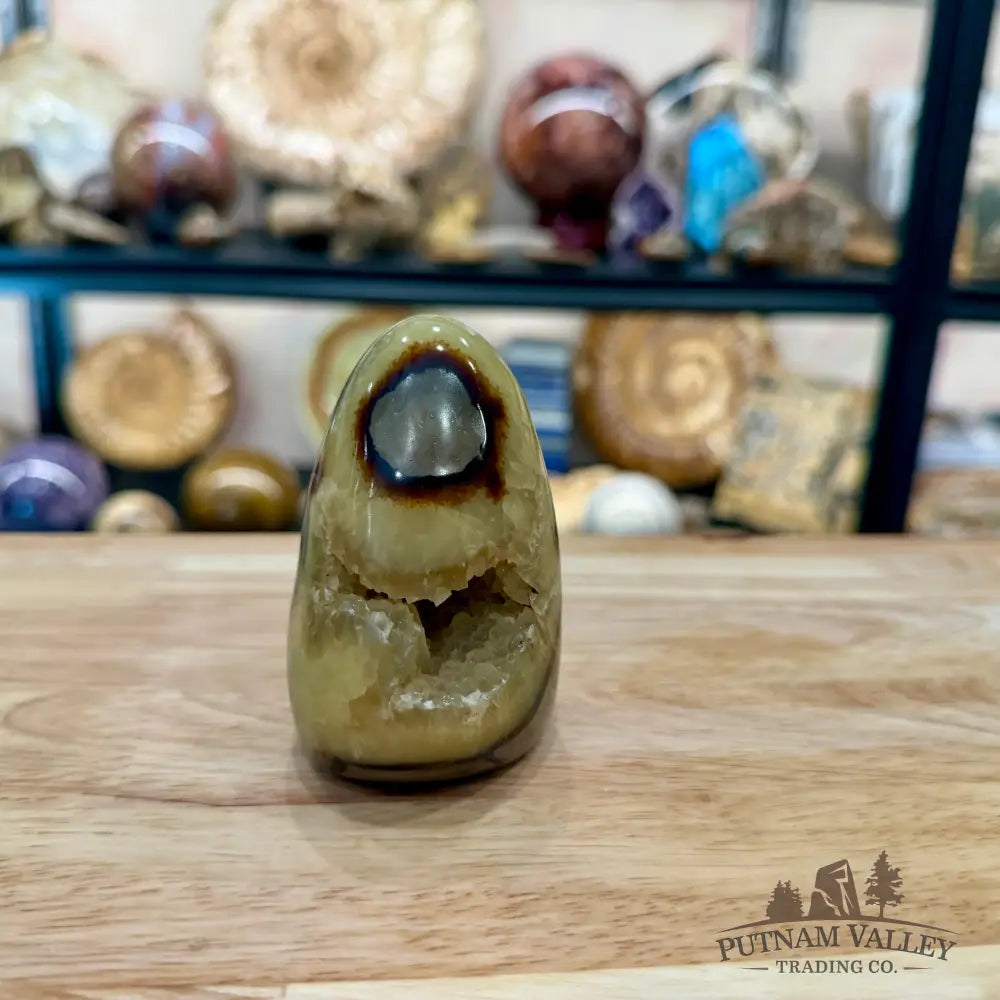 Madagascar Septarian Table Accent 3.23’’ - Accent