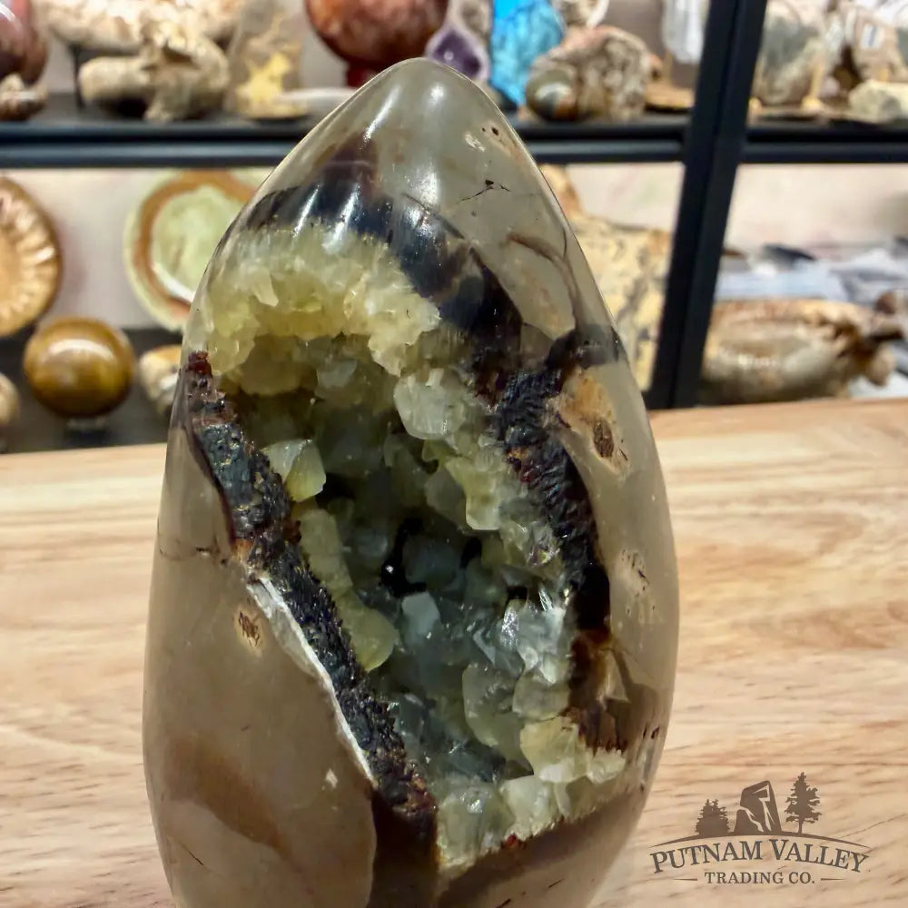 Madagascar Septarian Table Accent 3.66’’ - Accent