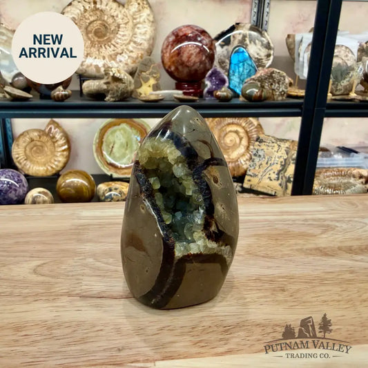 Madagascar Septarian Table Accent 3.66’’ - Accent