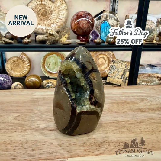 Madagascar Septarian Table Accent 3.66’’ - Accent