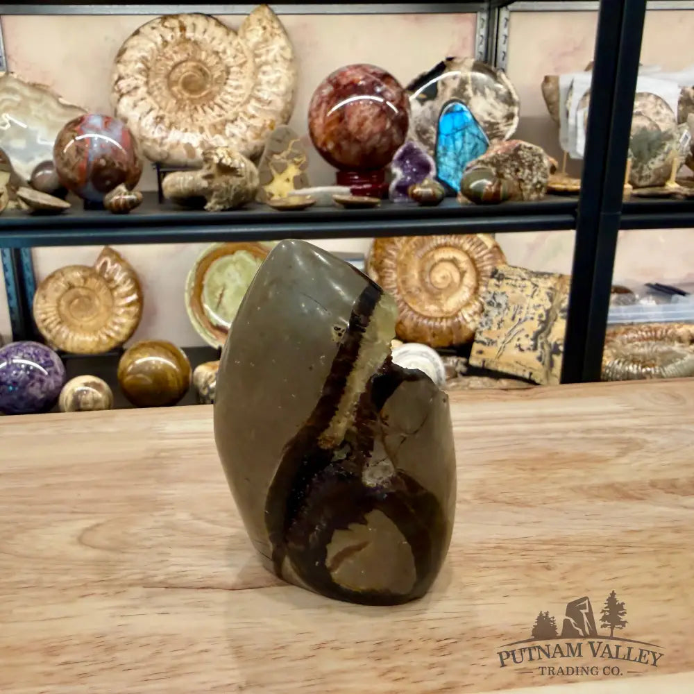 Madagascar Septarian Table Accent 3.66’’ - Accent