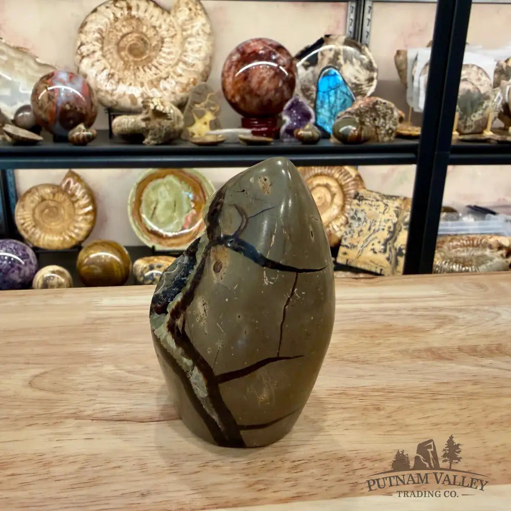 Madagascar Septarian Table Accent 3.66’’ - Accent