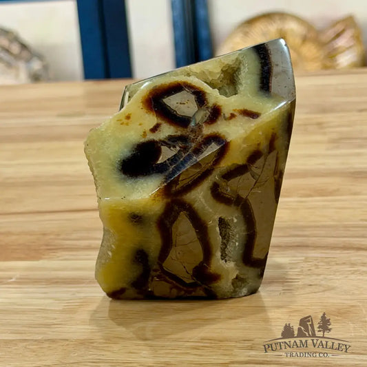 Madagascar Septarian Table Accent 3.8’’ Accent