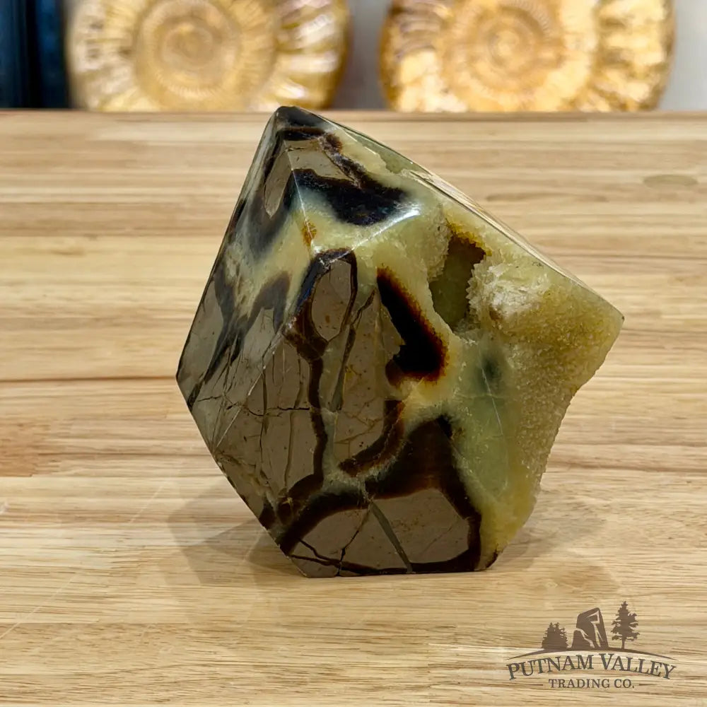 Madagascar Septarian Table Accent 3.8’’ Accent