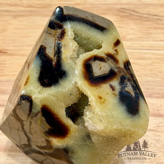 Madagascar Septarian Table Accent 3.8’’ Accent