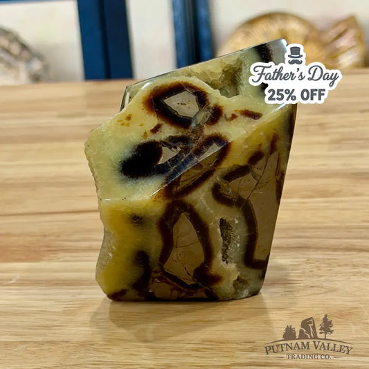 Madagascar Septarian Table Accent 3.8’’ Accent