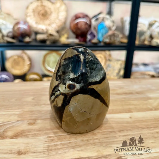 Madagascar Septarian Table Accent 4.29’’ - Accent