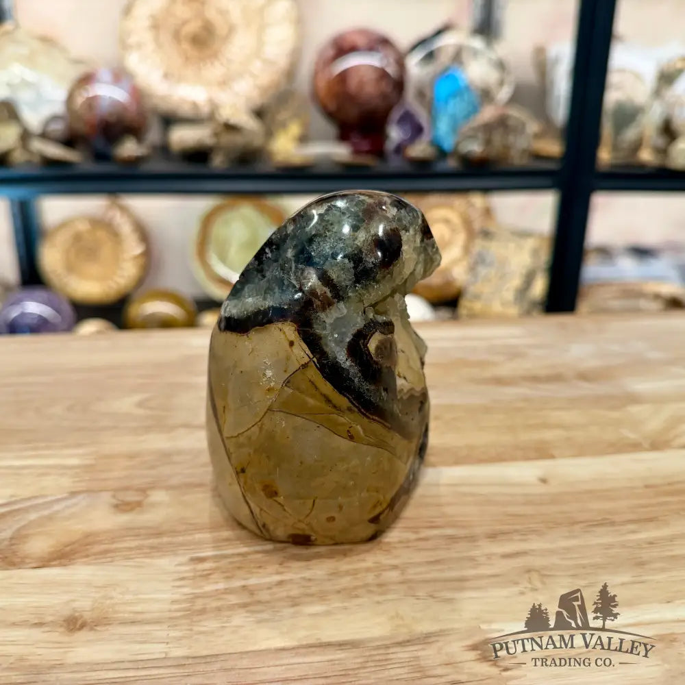 Madagascar Septarian Table Accent 4.29’’ - Accent