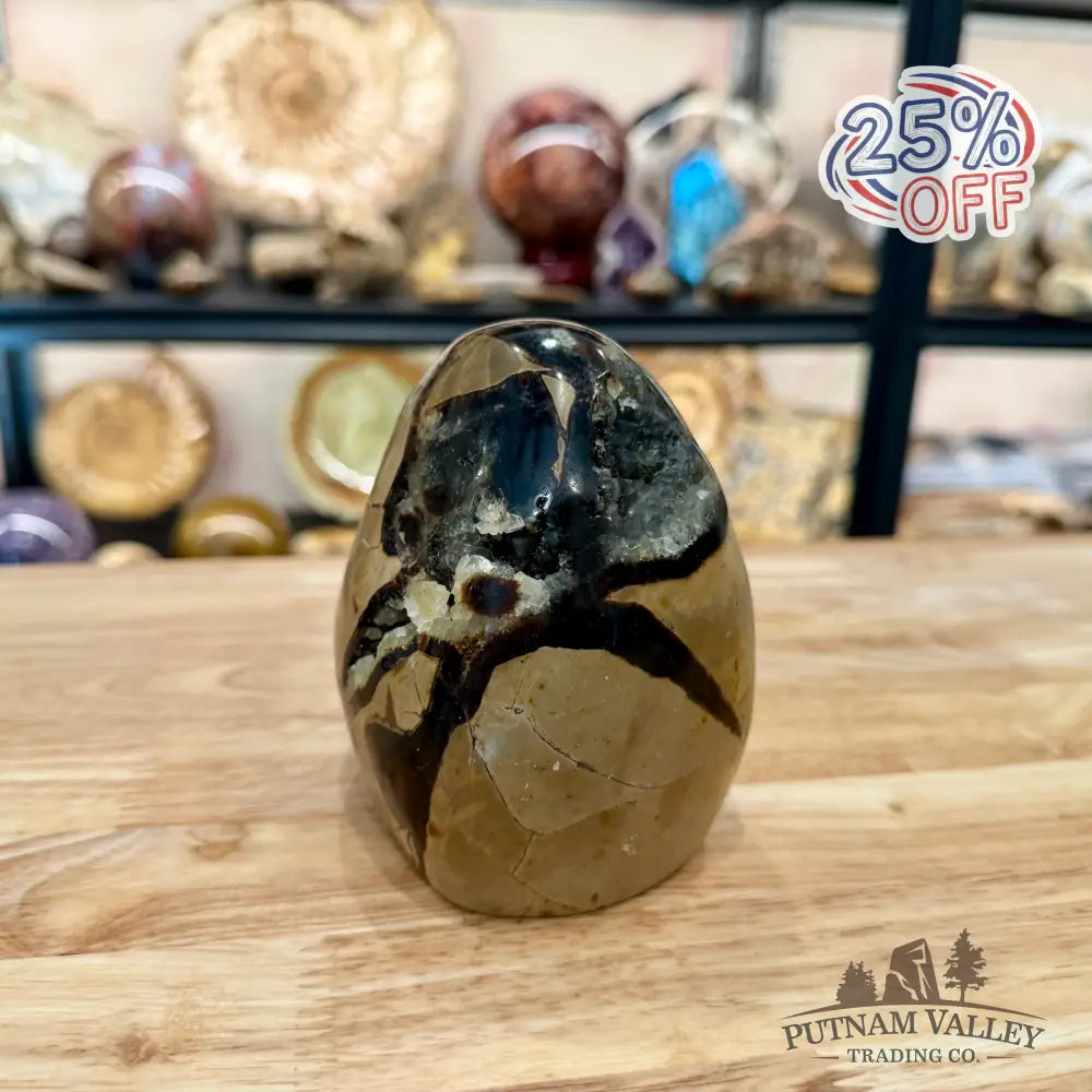 Madagascar Septarian Table Accent 4.29’’ - Accent