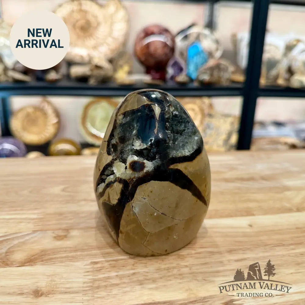Madagascar Septarian Table Accent 4.29’’ - Accent