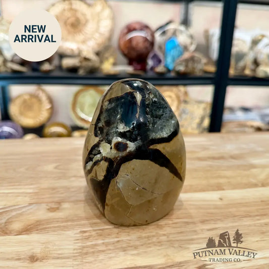 Madagascar Septarian Table Accent 4.29’’ - Accent