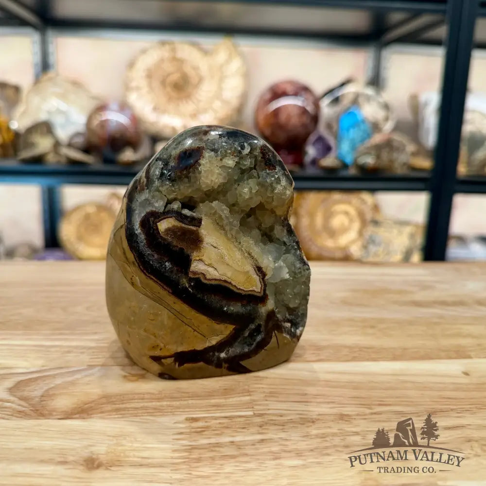 Madagascar Septarian Table Accent 4.29’’ - Accent