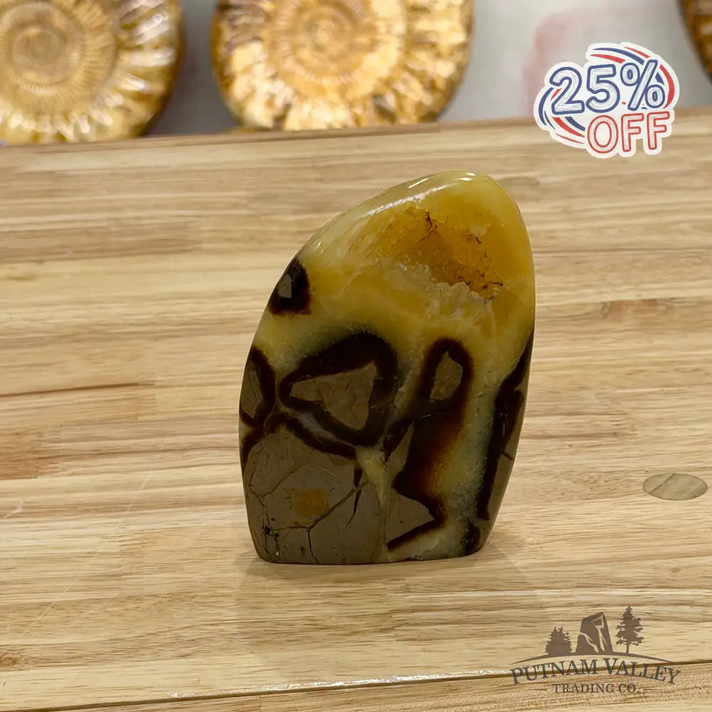 Madagascar Septarian Table Accent 4.5’’ Accent
