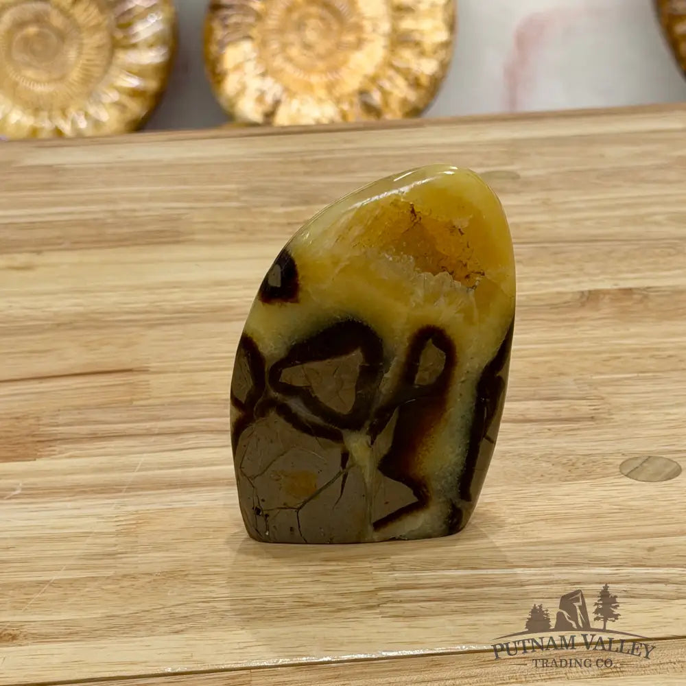 Madagascar Septarian Table Accent 4.5’’ Accent