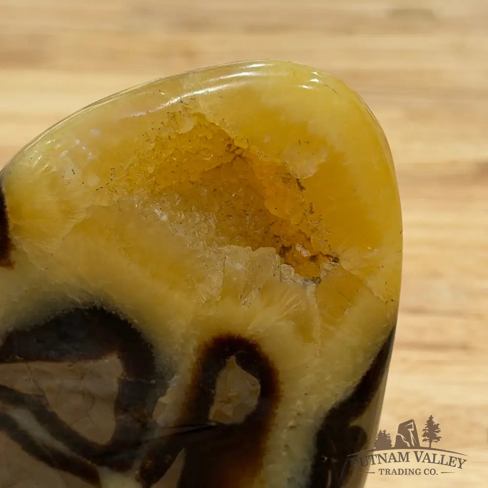 Madagascar Septarian Table Accent 4.5’’ Accent