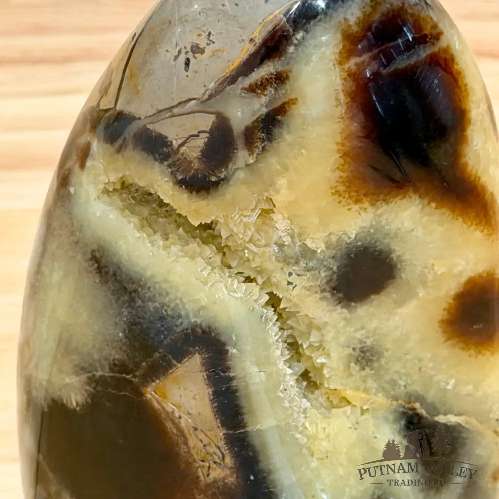 Madagascar Septarian Table Accent 4.5’’ Accent