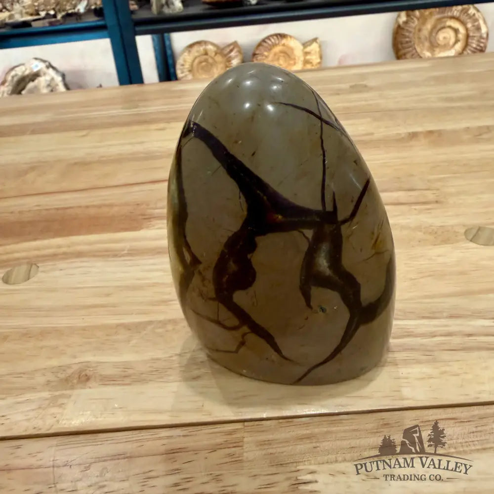 Madagascar Septarian Table Accent 4.5’’ Accent