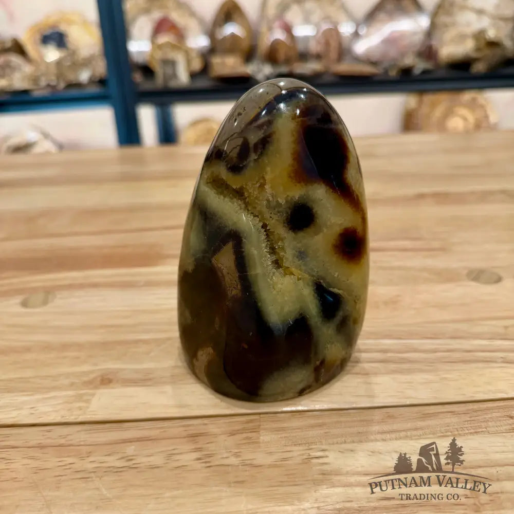 Madagascar Septarian Table Accent 4.5’’ Accent