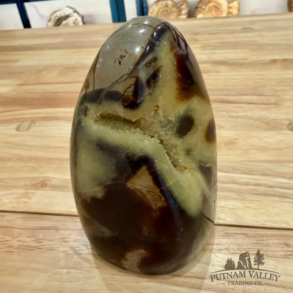 Madagascar Septarian Table Accent 4.5’’ Accent