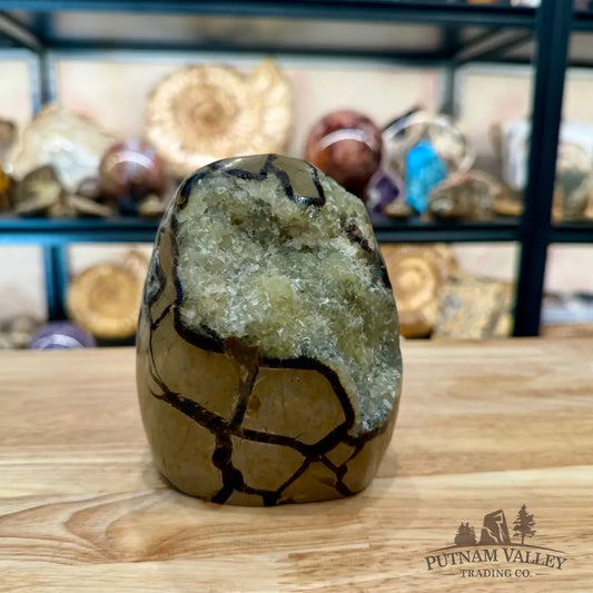 Madagascar Septarian Table Accent 4.86’’ - Accent
