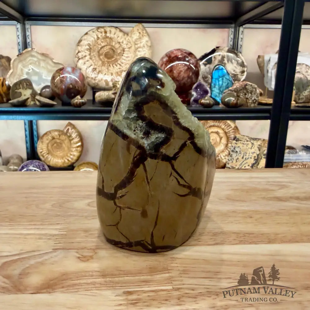 Madagascar Septarian Table Accent 4.86’’ - Accent