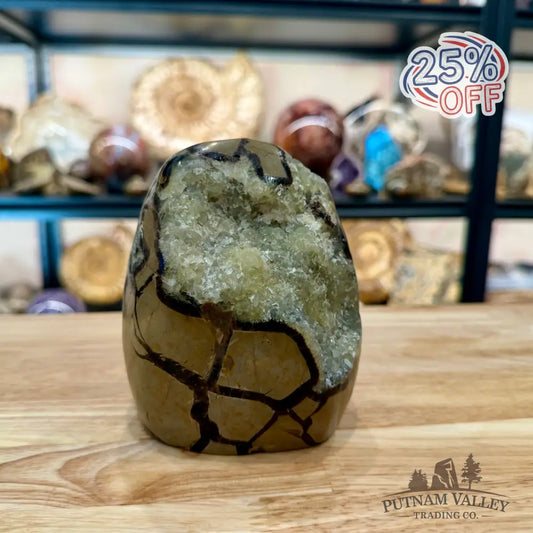 Madagascar Septarian Table Accent 4.86’’ - Accent