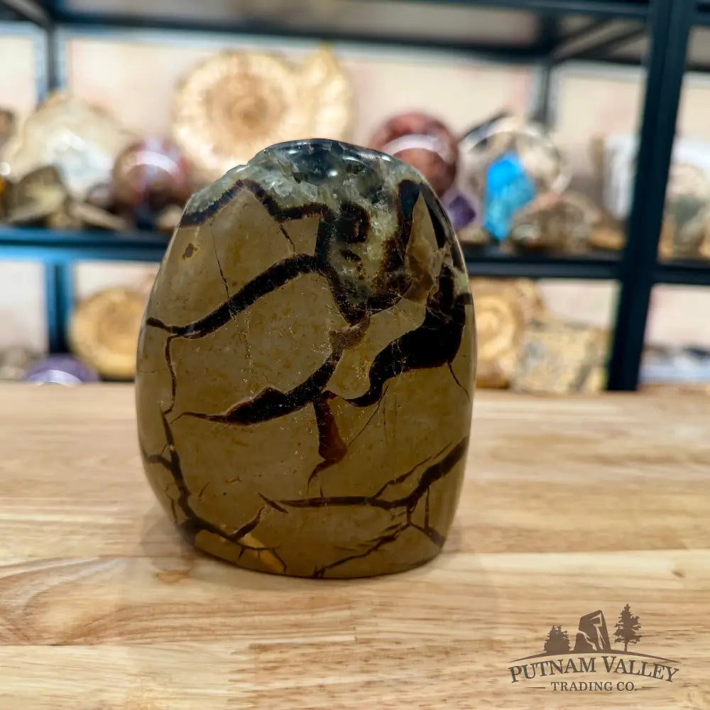 Madagascar Septarian Table Accent 4.86’’ - Accent