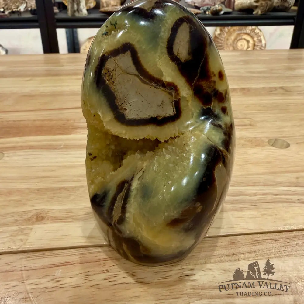 Madagascar Septarian Table Accent 5’’ Accent