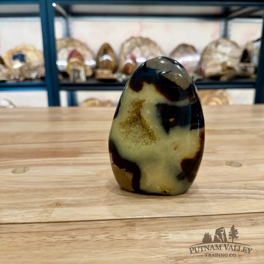 Madagascar Septarian Table Accent 4’’ Accent