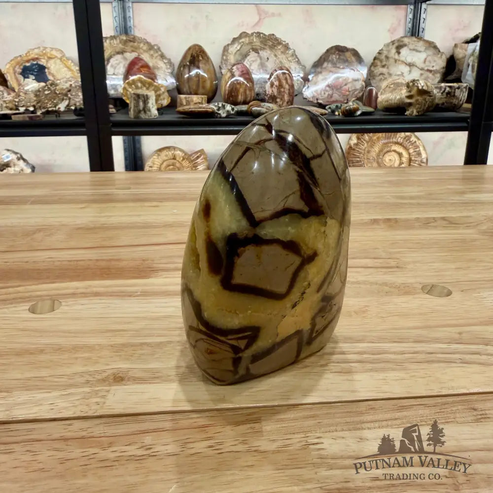 Madagascar Septarian Table Accent 5’’ Accent