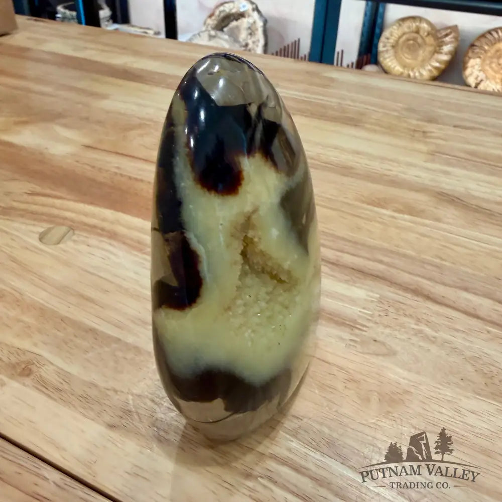 Madagascar Septarian Table Accent 4’’ Accent