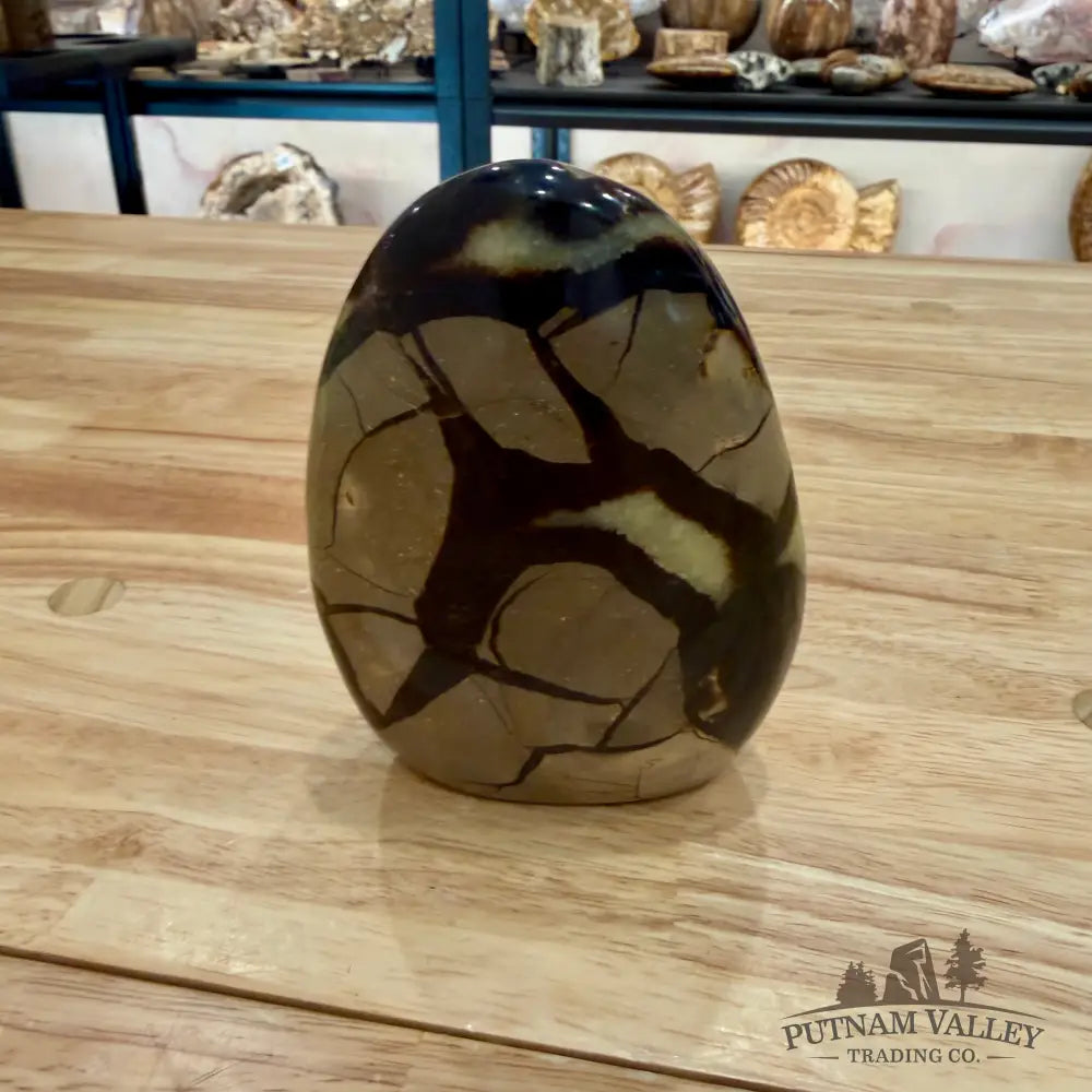 Madagascar Septarian Table Accent 4’’ Accent