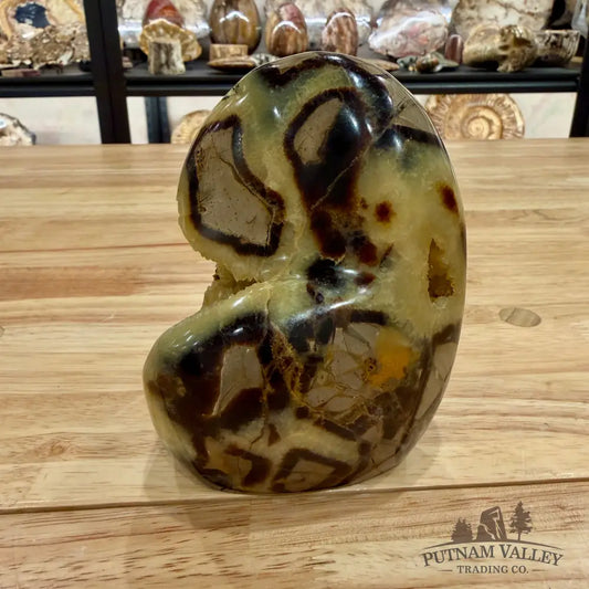 Madagascar Septarian Table Accent 5’’ Accent