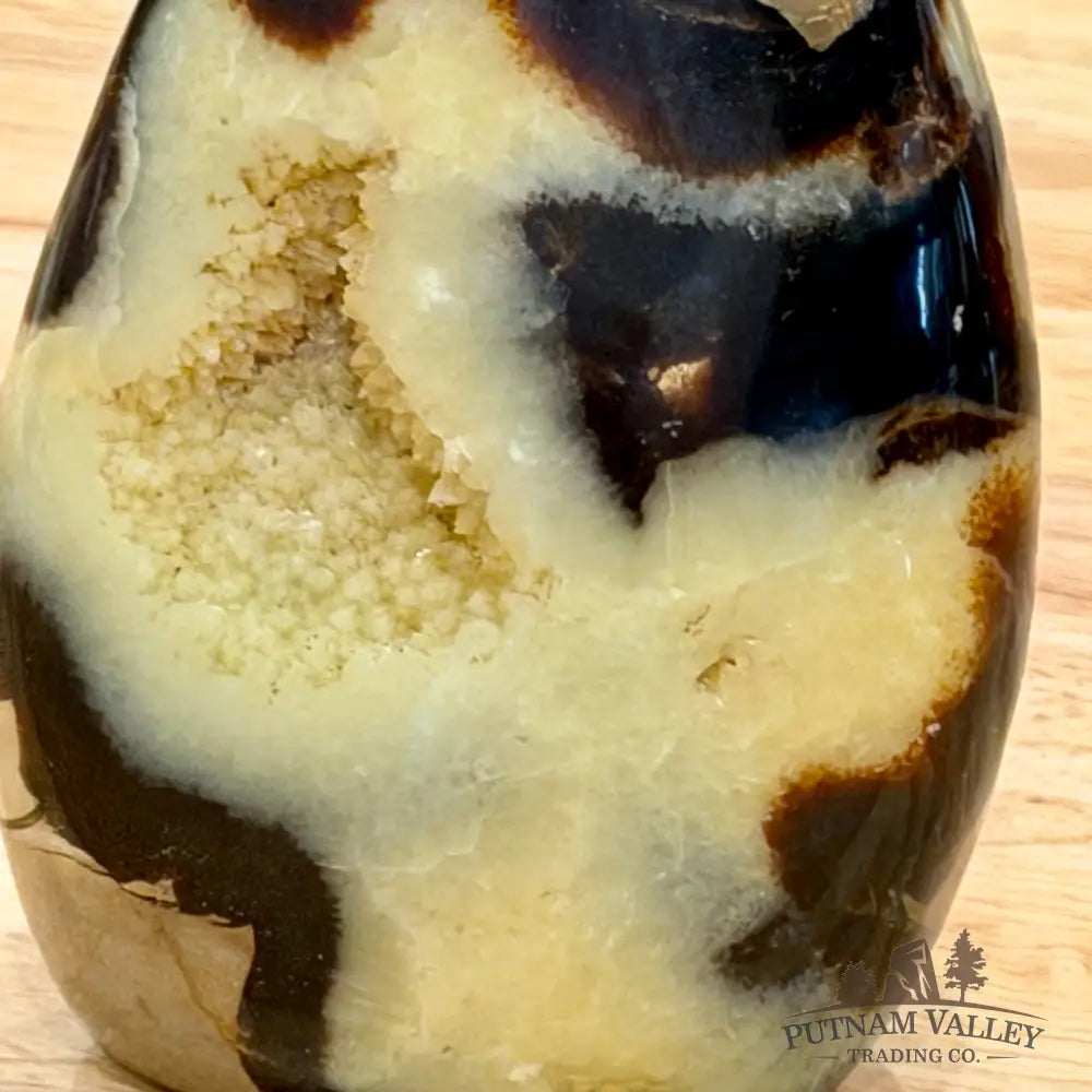 Madagascar Septarian Table Accent 4’’ Accent