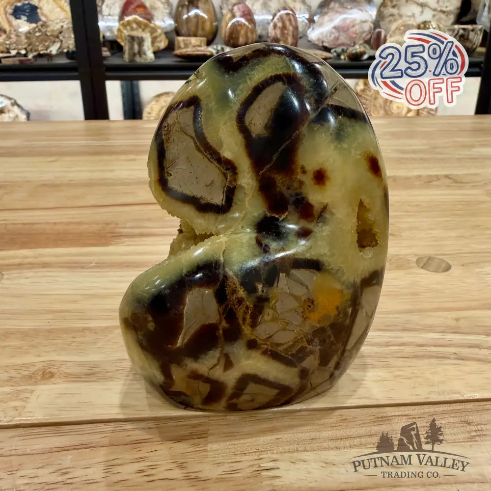 Madagascar Septarian Table Accent 5’’ Accent