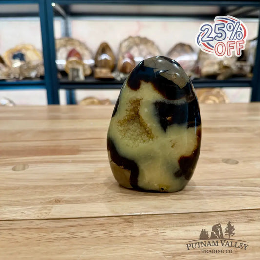Madagascar Septarian Table Accent 4’’ Accent