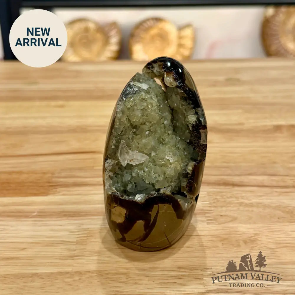 Madagascar Septarian Table Accent Sphere